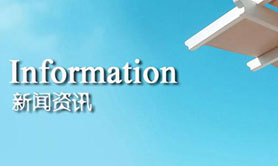 91视频污在线观看